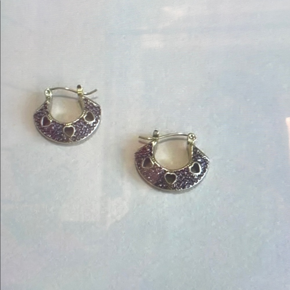 Elegant Silver Hoop Earrings